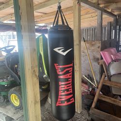 Punching Bag
