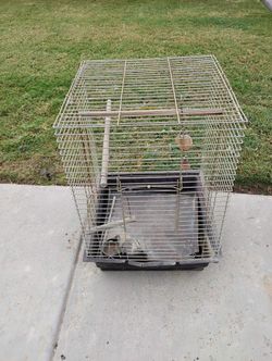 Bird Cage