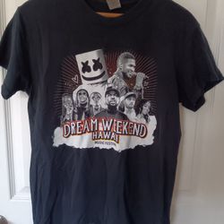 Usher Marshmellow Ice Cube Music Festival Tshirt Size Small