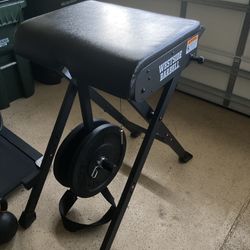 Westside Barbell Scout Reverse Hyper