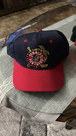 Vintage Florida Panthers (Annco)
