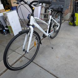 Infinity Cruiser Bike With Topeak TrollyTote