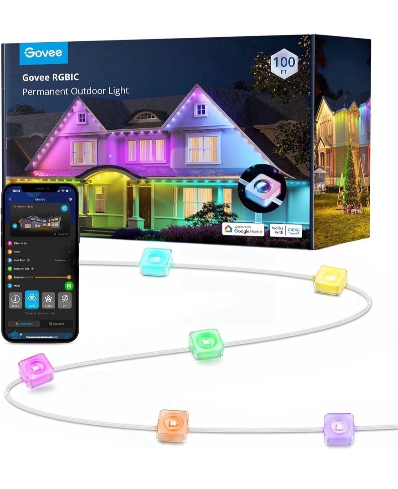 Permanent Outdoor Lights