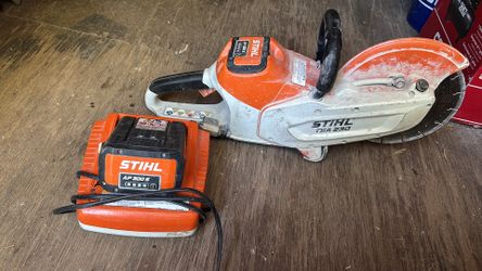 The kit includes a STIHL AP 300 S 36-volt battery and its corresponding charger.