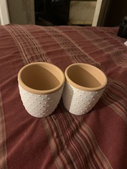 Two pots for plants and. the pots never been used