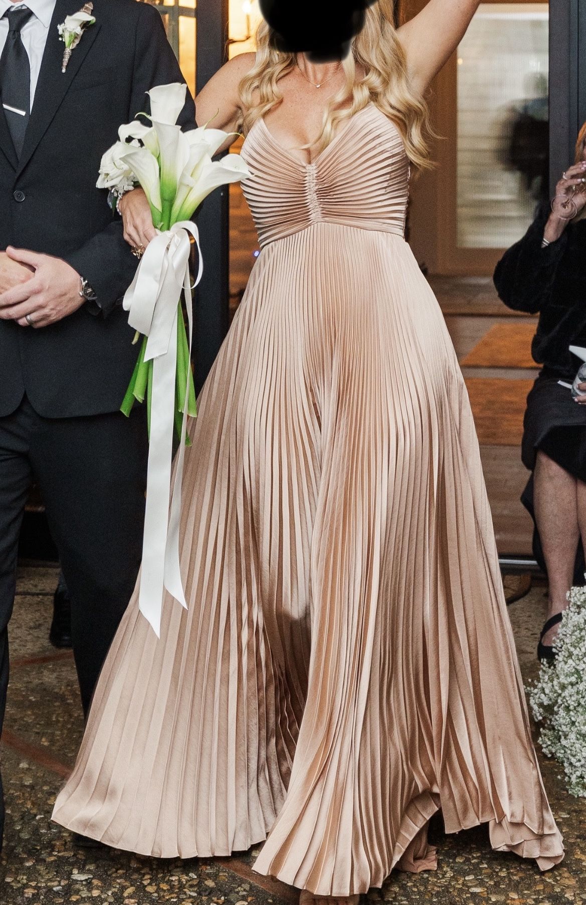 ALC Aries Dress- Perfect Condition- Worn Once