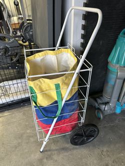 Rolling Cart With Removable Canvas Liner