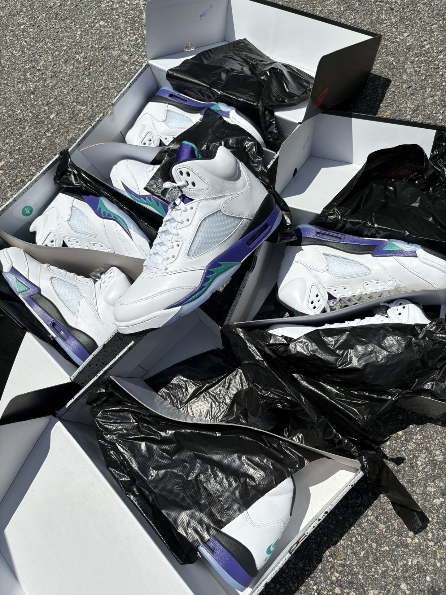 Grape Jordan 5s Sz 8