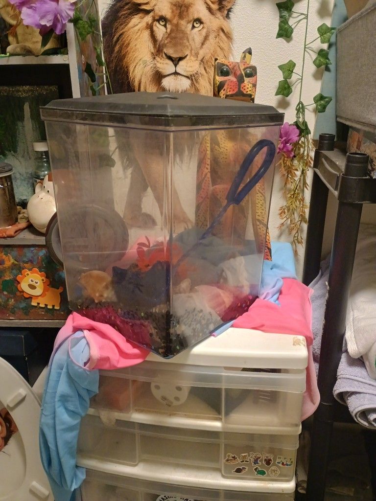 Fish Tank(No Fish)