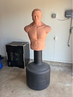 Century Bob Training Bag (MMA, Boxing, Fitness, Garage Gym)