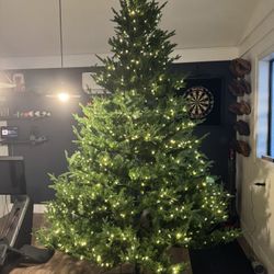 9th Prelim LED Christmas Tree - High Quality