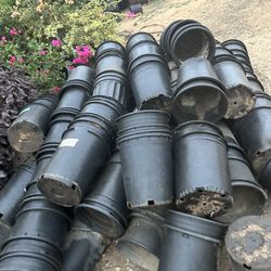 Used plant Pots 5gal (100 for $100)