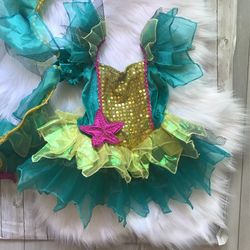 Under The Sea Princess Paradise Fairy Costume With Wings Sz 18m-2t