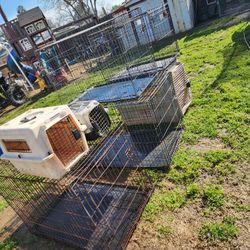 Animal Crates 