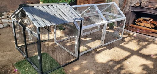Lavender orpington Chicken coop
