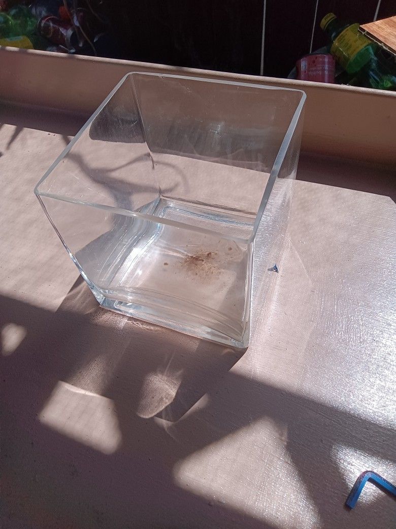 Square Glass Vases 6" Qty. 23