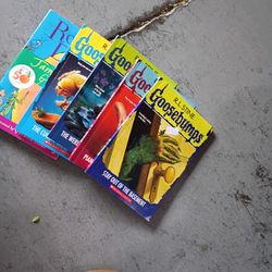 RL Stine Goosebumps And R O A L D D A H L C Descriptions $2 A Piece