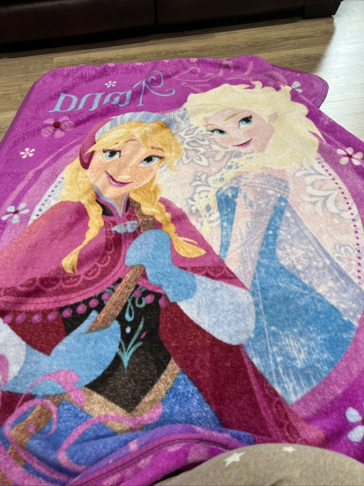 Disney Frozen Anna and Elsa The Northwest Company Plush Throw Blanket 44”x56”