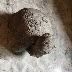 Stone Turtle 