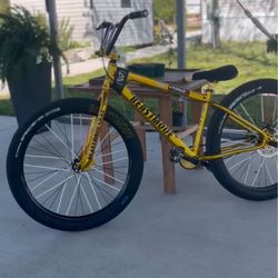 BeastMode SE Bike