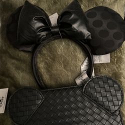 Disney Ears/wallet 