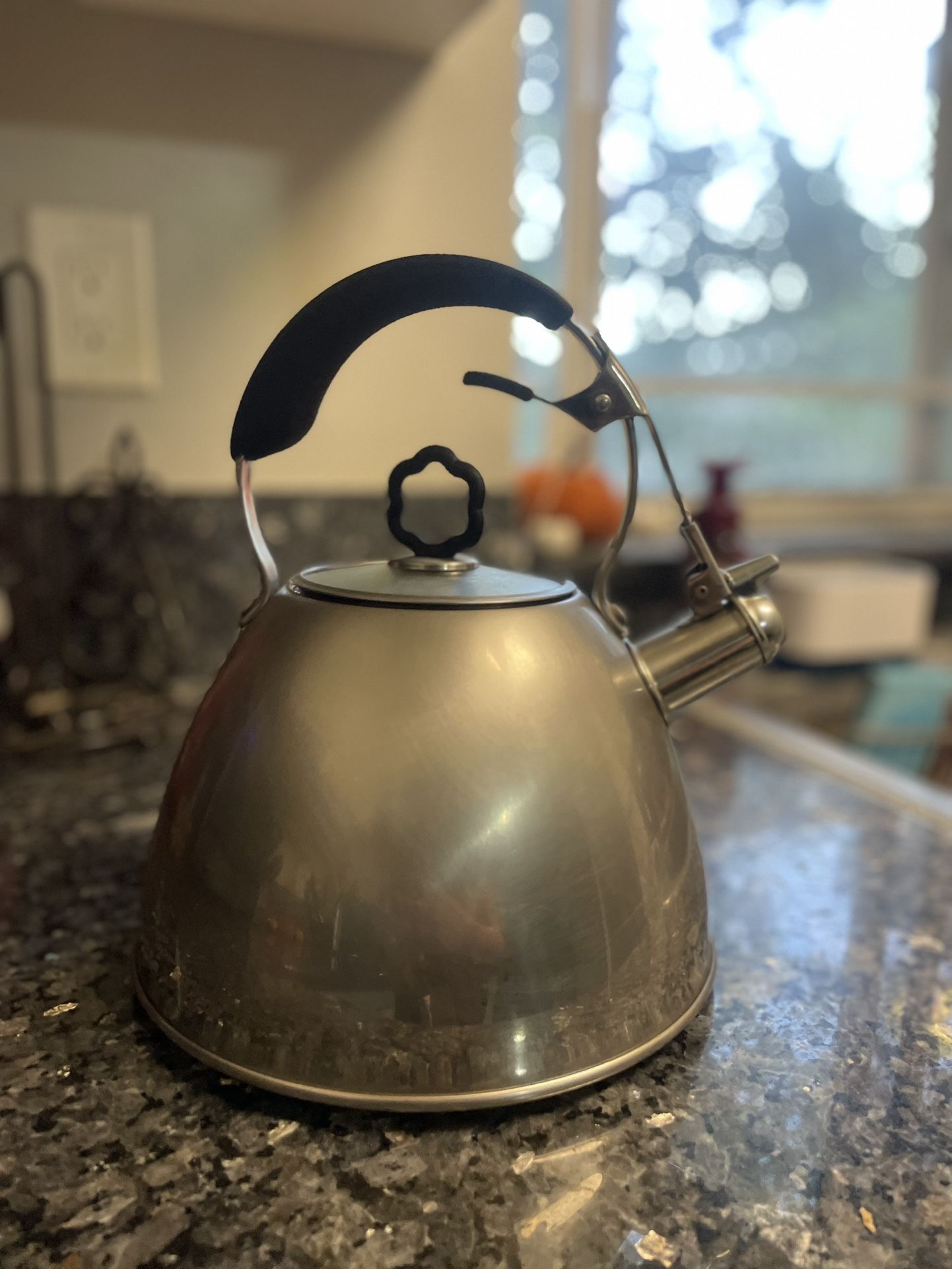 PRINCESS HOUSE TEA KETTLE