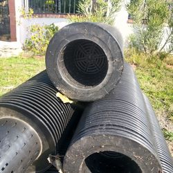Plant Pot