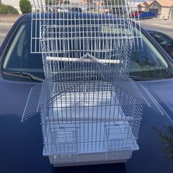 New Cage. //. Jaula Nueva