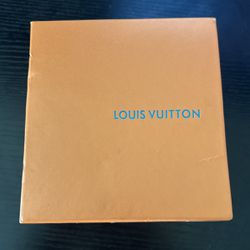 Louis Vuitton Belt CHECK CAPTION
