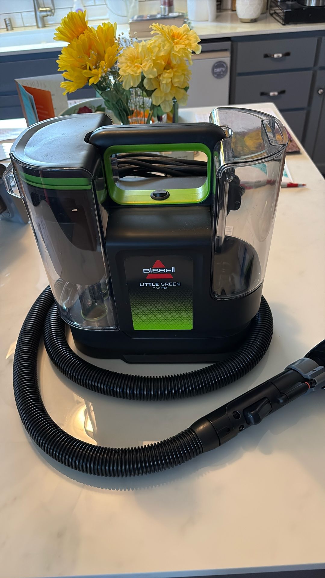 Bissell Little Green Max Pet Smart