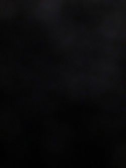 Girls pants 👖 size 8,10,12,14 or trade for vans size adult 8.5 ,9 our kids size 11