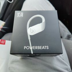 Powerbeats Headphones