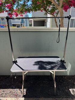*Free* Dog Grooming Table