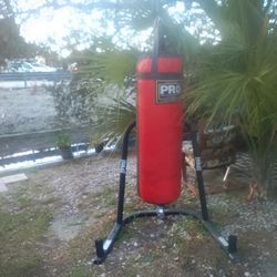Heavy Weight Bag And Stand 