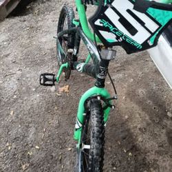 Surge Race Boys Bike Great Condition Good Tires And Brakes. 14