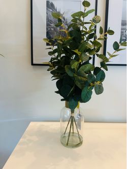 Faux Eucalyptus in Glass Vase