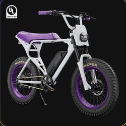 Macfox X1S x Bs.zay Ebike