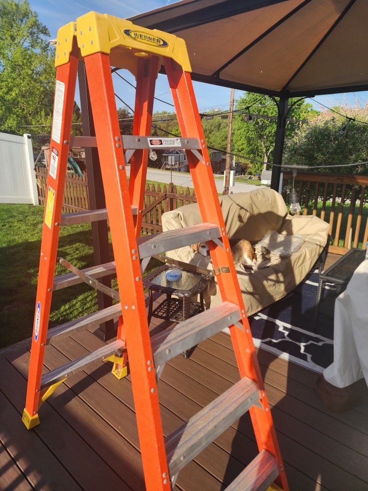 Werner 6' Double Step Ladder