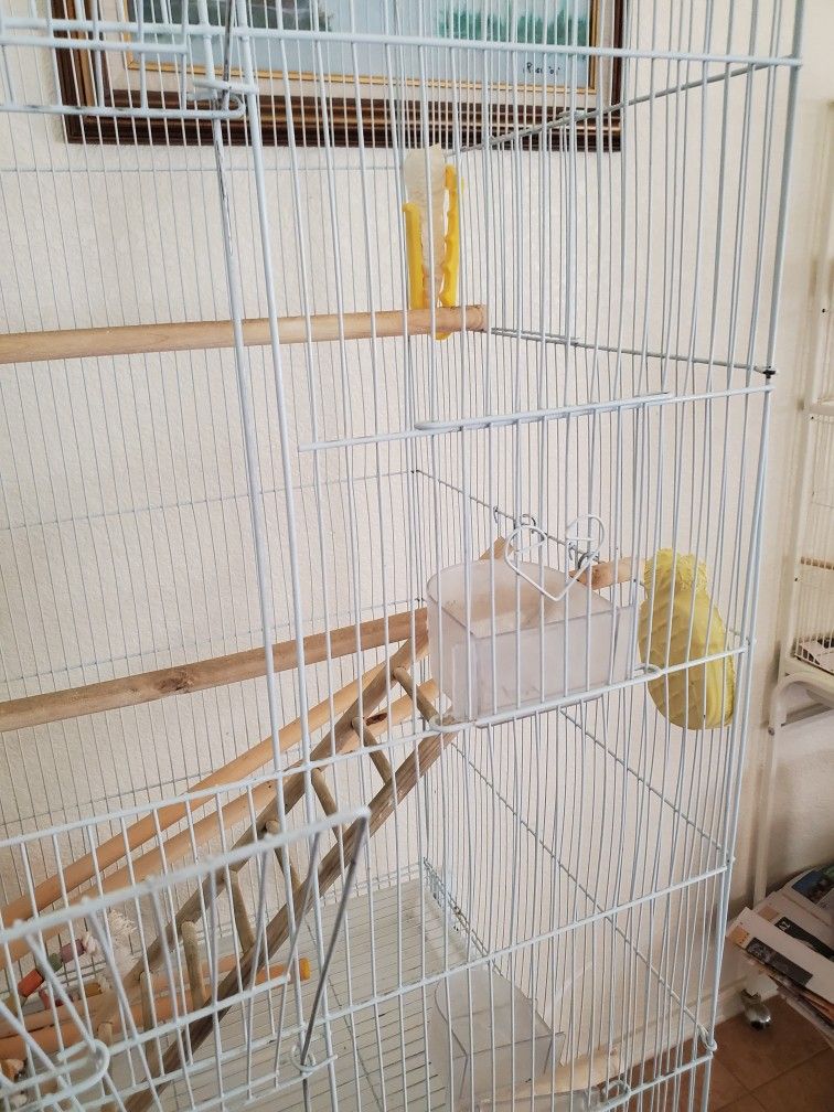 Bird Cage Stand And Accessories