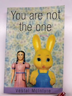 Excellent Nostalgic Book from 2004 - You Are Not the One by Vestal McIntyre
