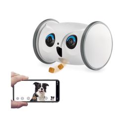 Pet Camera with Treat Dispenser (New in Box)