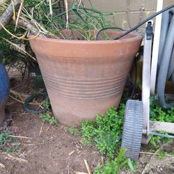 Xxl Terra Cotta Plant Pot