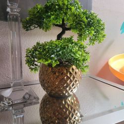 Faux Bonsai Three $30 for Both 2 available 