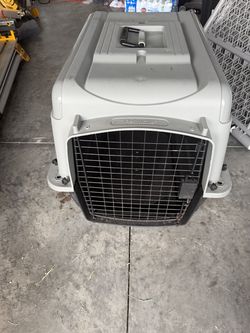 Medium Size Carrier