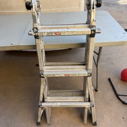 Gorilla 13feet Ladder