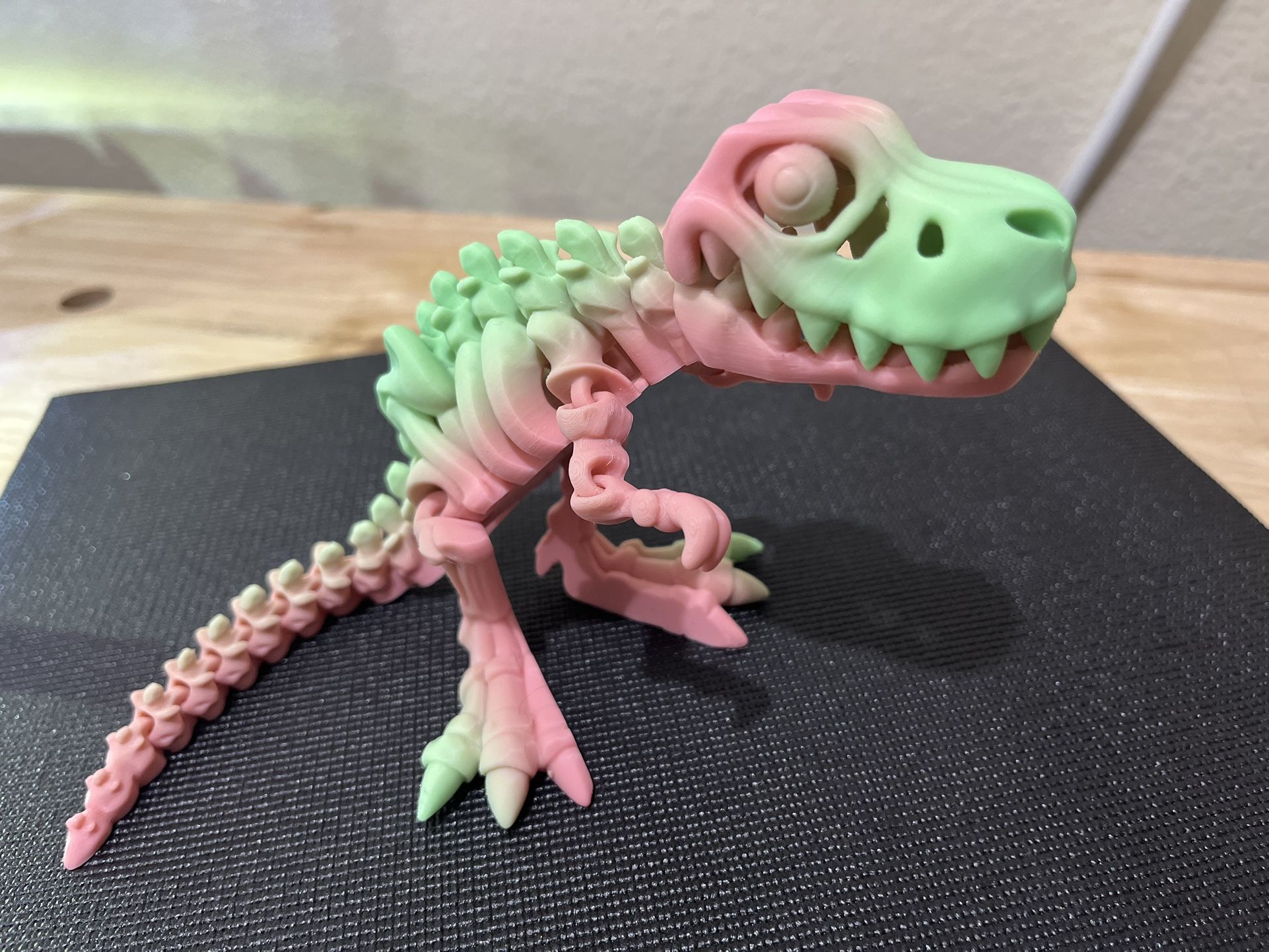 Rainbow Raptor