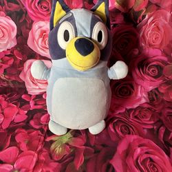Bluey Plushie