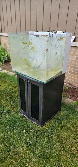 RIMLESS FISH TANK AQUARIUM