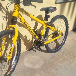 Woman Mountain Bike Like New
