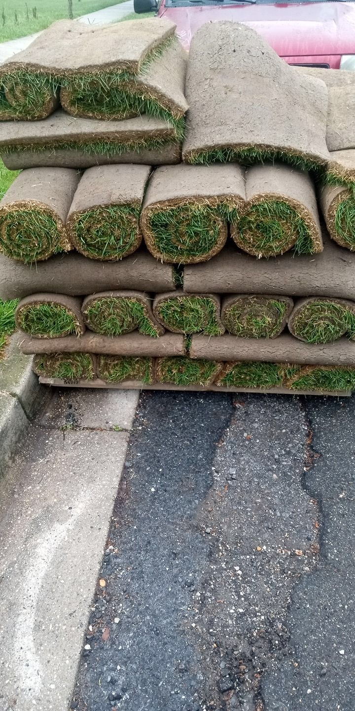 Fresh Sod Cut Every Morning We Offer Installation As Well